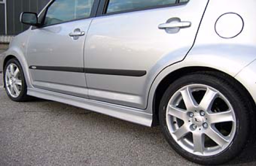 Protection bars black